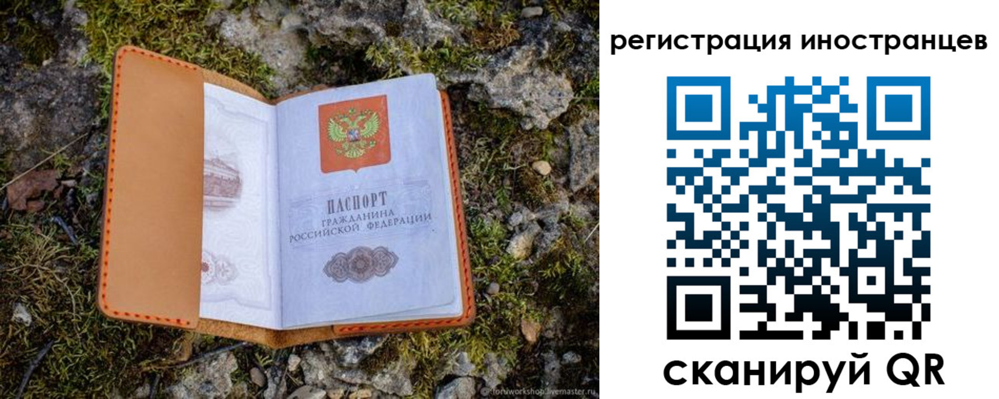 прописка паспорт в Зуевке